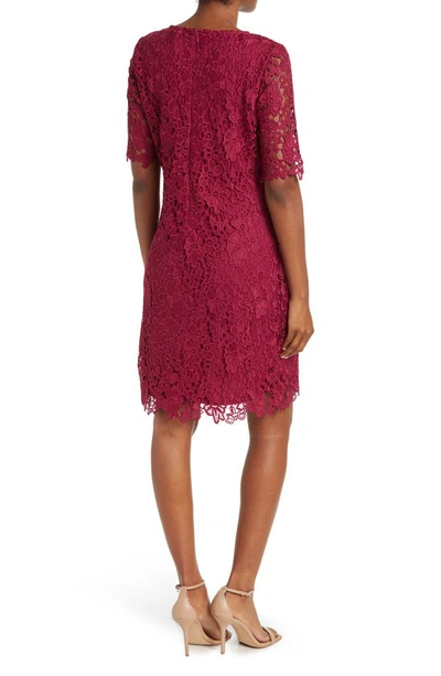 Nina Leonard Jewel Neck Lace Dress In Sangria