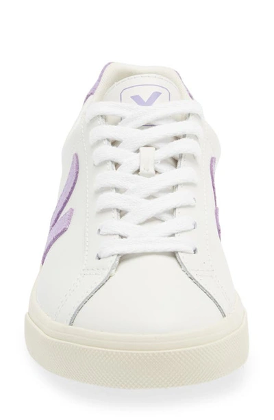Shop Veja Esplar Logo Sneaker In Extra-white Lavande