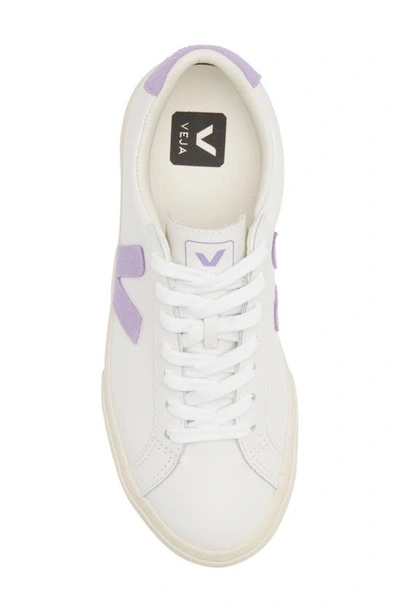 Shop Veja Esplar Logo Sneaker In Extra-white Lavande