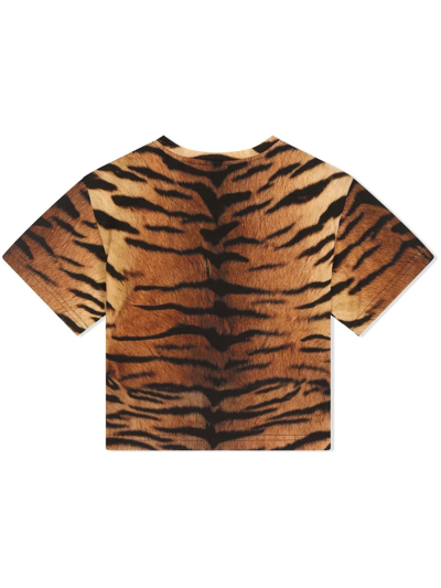 Shop Dolce & Gabbana Tiger-print Cotton T-shirt In Braun