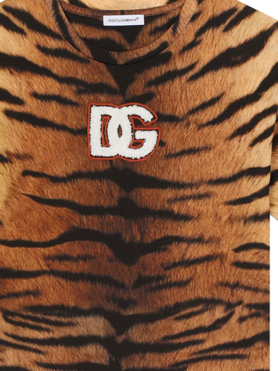 Shop Dolce & Gabbana Tiger-print Cotton T-shirt In Braun