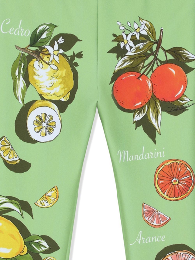 Shop Dolce & Gabbana Lemon-print Stretch Leggings In Green