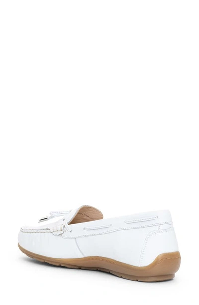 Shop Ara Amarillo Leather Driving Shoe In White Cervocalf