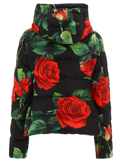 Shop Dolce E Gabbana Women's Black Other Materials Down Jacket