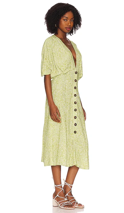 Anna Nata Mia Dress In Celery Foxglove