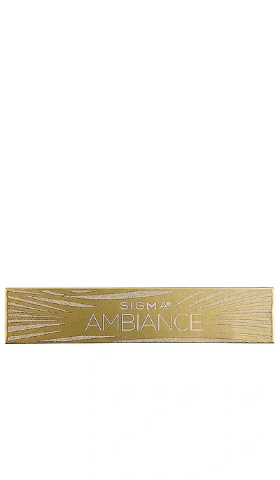 AMBIANCE EYESHADOW PALETTE 眼影盘