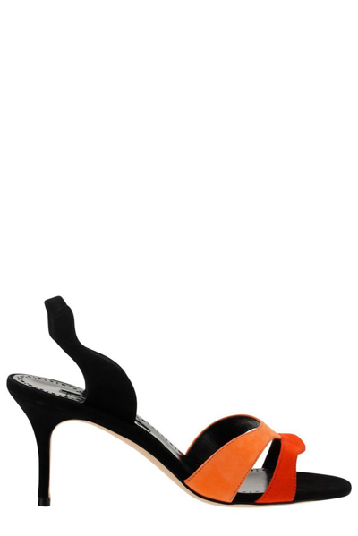 Shop Manolo Blahnik Slingback Heeled Sandals In Multi