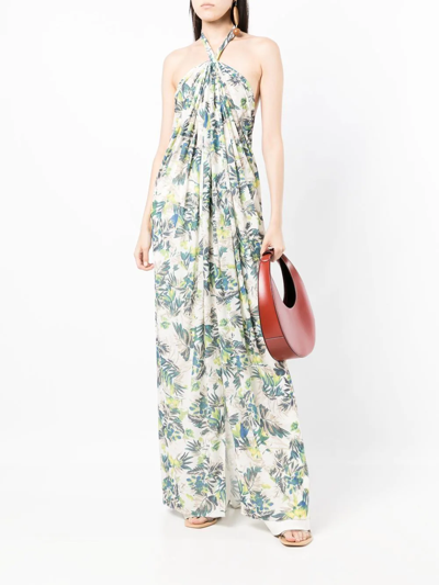 Shop Bambah Petra Tropical-print Maxi Dress In Green