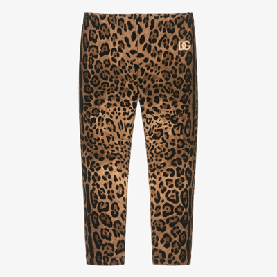 Shop Dolce & Gabbana Girls Brown Leopard Leggings