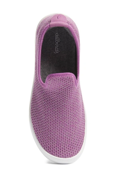 Shop Allbirds Tree Lounger Slip-on Sneaker In Lux Purple