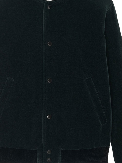 Saint Laurent Giubbotto Teddy In Velluto Di Cotone Verde In Green