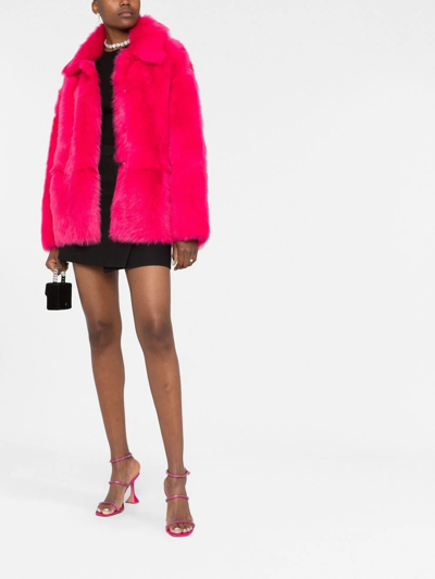 P.a.r.o.s.h Sheepskin Shearling Short Jacket In Pink