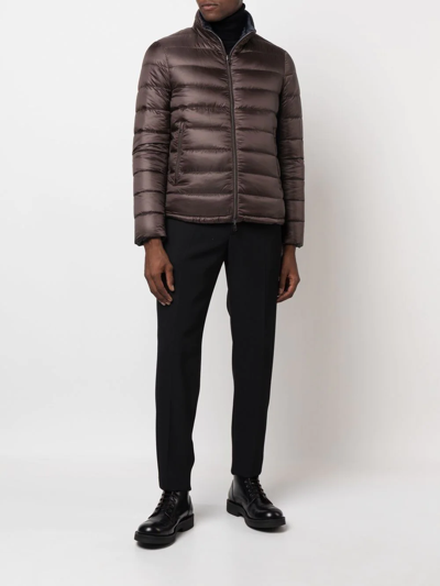 Herno Reversible Zip-up Padded Jacket In Brown