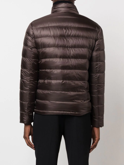 Shop Herno Reversible Zip-up Padded Jacket In Brown