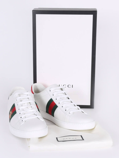 Pre-owned Gucci Ace Unisex Web 431942 Shoes Schuhe Sneakers Turnschuhe  Trainers 36,5 In White | ModeSens