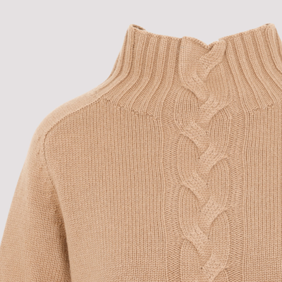 Shop 's Max Mara Oceania Wool Sweater In Nude &amp; Neutrals
