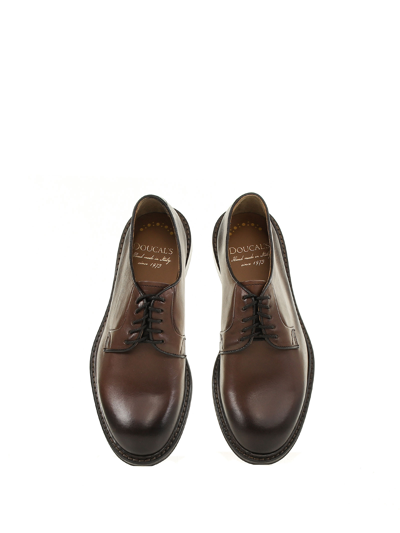 Shop Doucal's Derby In Dark Brown Leather