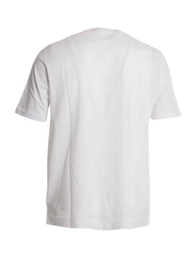 Fedeli Man Basic T-shirt In White Organic Cotton In White