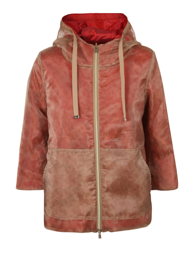 Herno Monogram Jacket In Neutrals/red