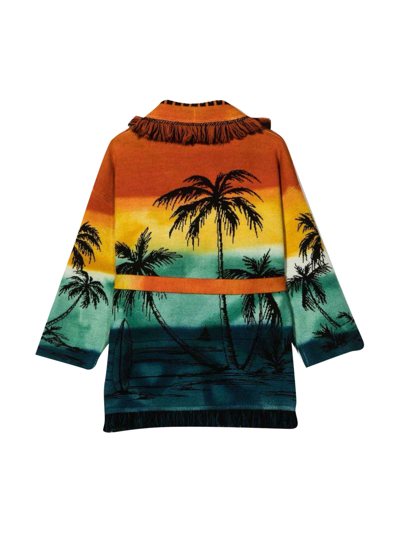 Alanui Icon Jacquard Virgin Wool Cardigan In Multicolour/brown