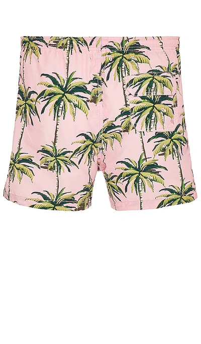 Shop Solid & Striped The Classic Swim Shorts In Palm Tree Print