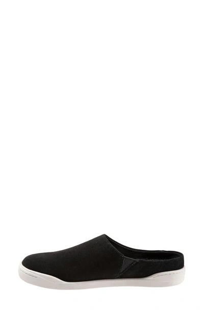 Shop Softwalk ® Auburn Mule In Black Suede