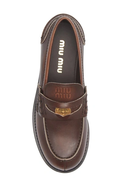 Shop Miu Miu Penny Loafer In Ebano