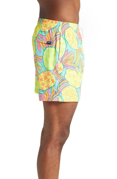 Shop Chubbies Classic Lined 5.5-inch Swim Trunks In The Hooligans