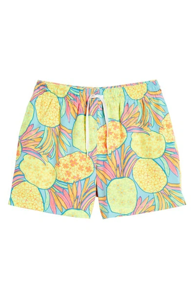 Shop Chubbies Classic Lined 5.5-inch Swim Trunks In The Hooligans