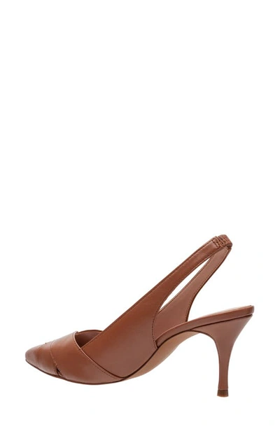 Shop Linea Paolo Nelly Pointed Toe Slingback Pump In Cognac
