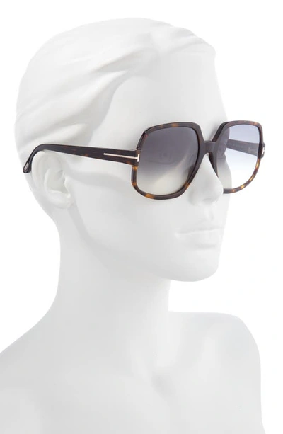 Tom Ford Delphine 60mm Gradient Sunglasses In Dark Havana / Blue