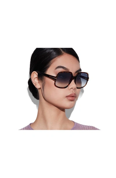 Tom Ford Delphine 60mm Gradient Sunglasses In Dark Havana / Blue