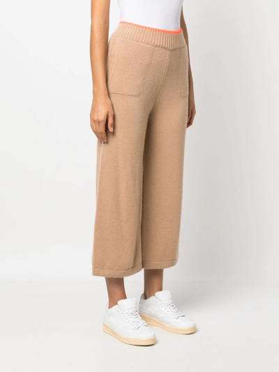 Shop Msgm Logo-embroidered Cropped Trousers In Nude