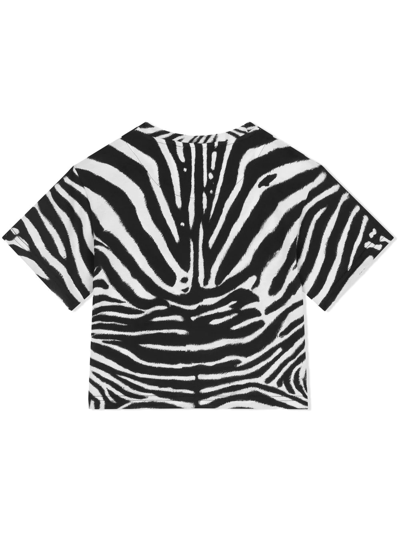 Dolce & Gabbana Zebra-print Cotton T-shirt In Weiss