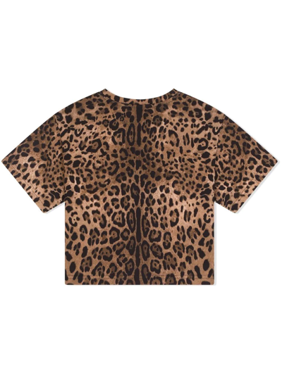 Dolce & Gabbana Dolce&gabbana Kids' Logo Patch Leopard Print Cotton T-shirt In Braun