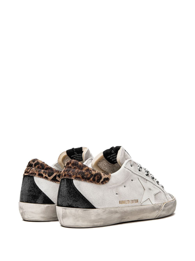 Golden Goose Super-star Low-top Sneakers In White/silver/beige Brown Leo/b