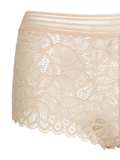 Wacoal Raffine Lace Briefs In Neutrals