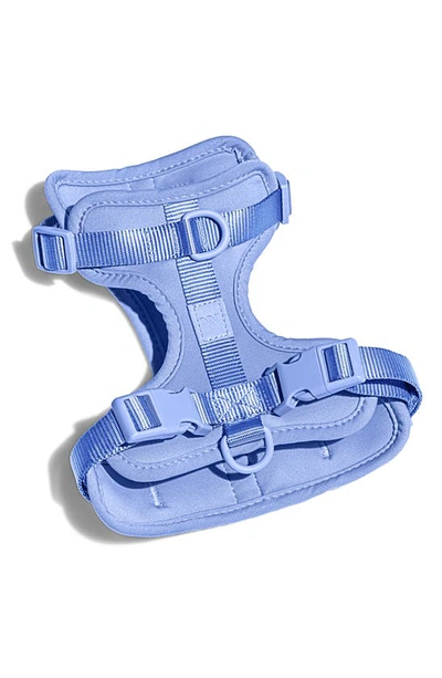 Shop Wild One Dog Harness In Moonstone