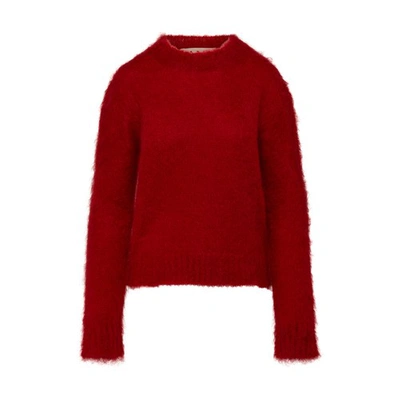 Shop Marni Roundneck Sweater In Tulip