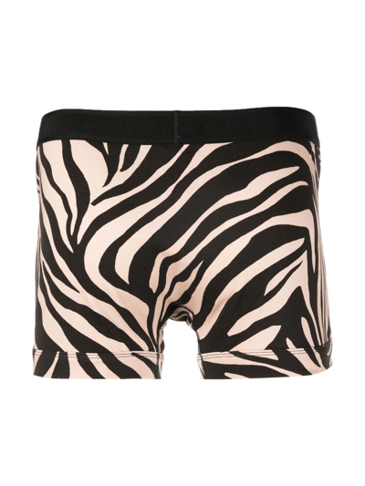 Tom Ford Zebra-print Stretch-cotton Boxer Briefs In Neutrals