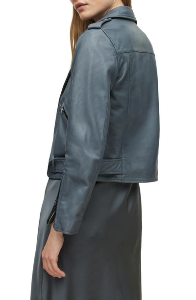 Shop Allsaints Belted Crop Leather Moto Jacket In Bluebell Blue
