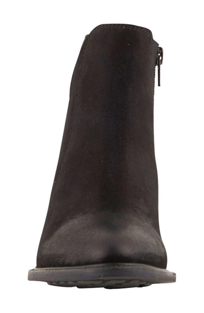 Shop David Tate Arleta Pointed Toe Western Boot In Black Nubuck