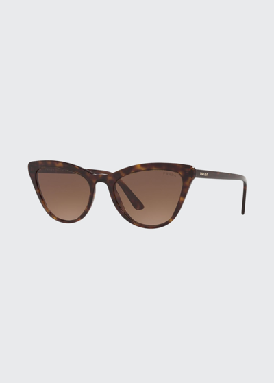 Shop Prada Acetate Cat-eye Sunglasses In Brown
