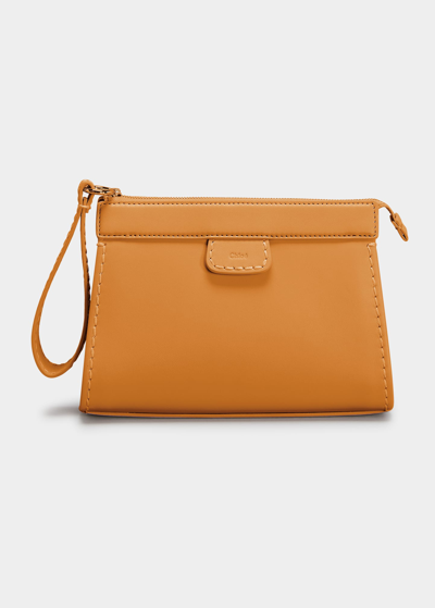 Shop Chloé Edith Zip Leather Pouch Crossbody Bag In Mustang Brown