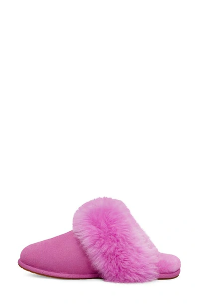 Shop Ugg Scuff Sis Genuine Shearling Mule Slipper In Purple Ruby