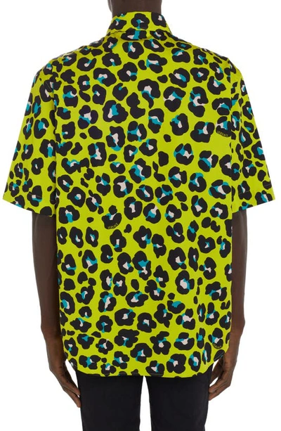 Shop Versace Leopard Print Short Sleeve Cotton Button-up Shirt In 5y200 Acid Lime Multicolor