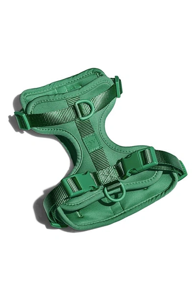 Shop Wild One Dog Harness In Spruce