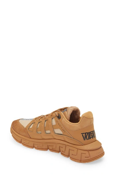 Shop Versace Trigreca Sneaker In Brown