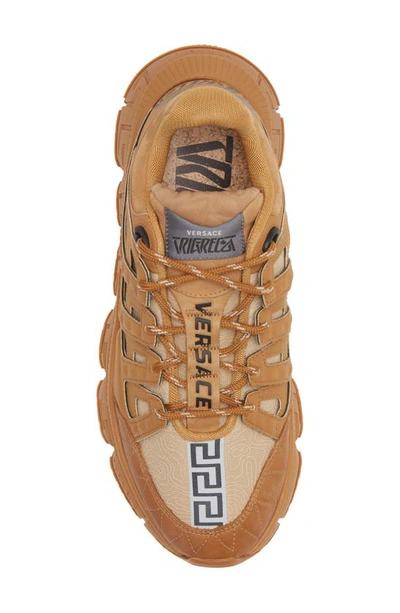 Shop Versace Trigreca Sneaker In Brown