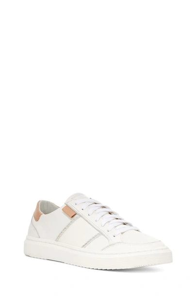 Shop Ugg Alameda Sneaker In Bright White